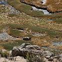 Peru 0688
